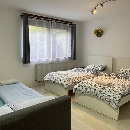 Duesseldorf Messe, 2-Bedroom Duplex Apartment With Terrace And Garden Eksteriør billede